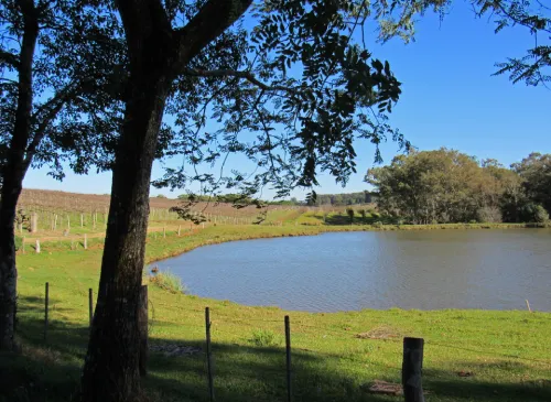Sustentabilidade e Responsabilidade Ambiental
