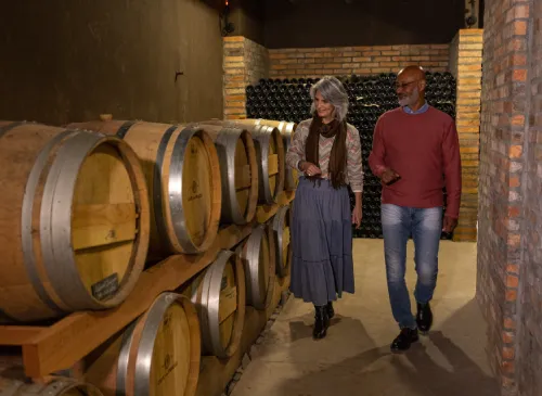 Degustações de Vinhos - Cave dos Frades
